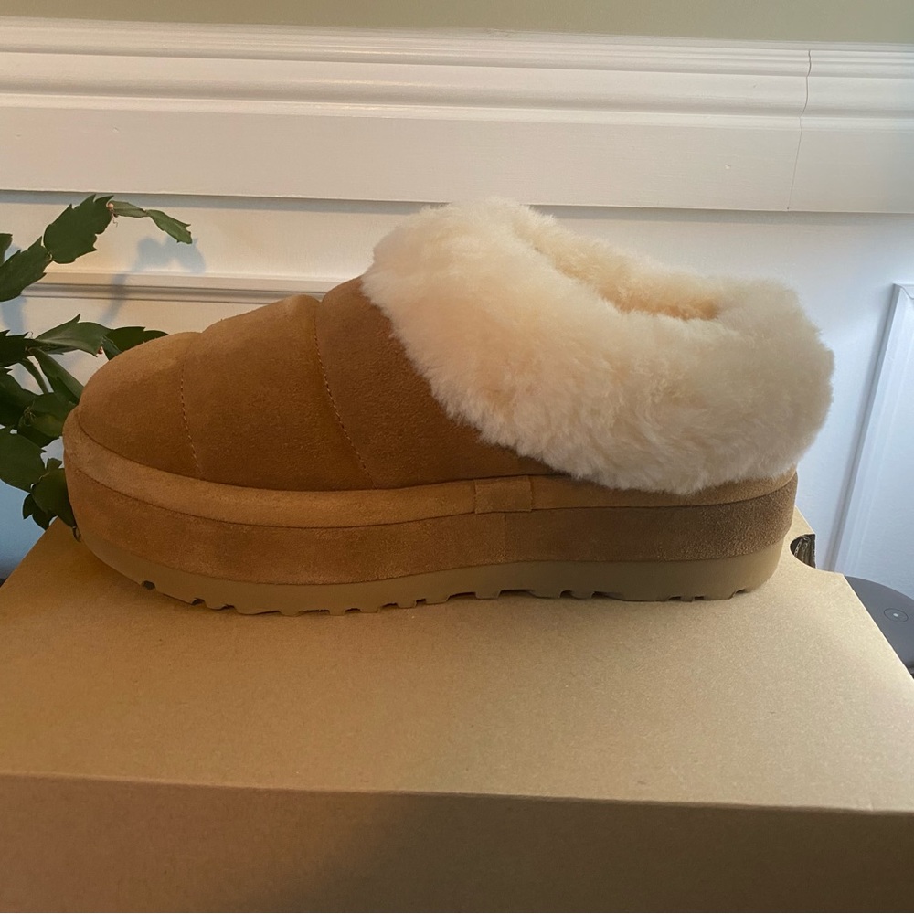 Ugg Tazzlita Chestnut Sz 8 - New in Box